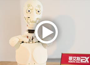 DS robotic doll video